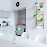 البرد