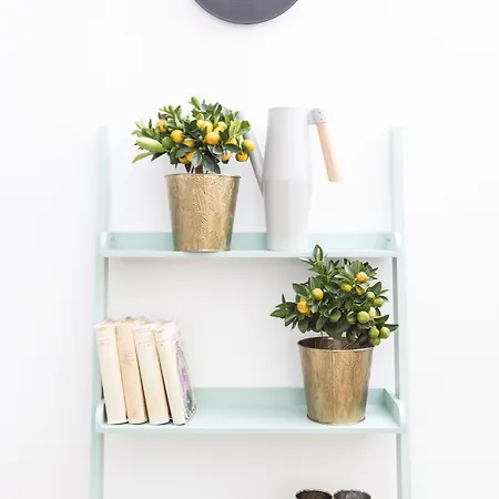 شقة فندقية البرد