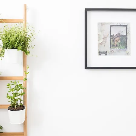 البرد شقة فندقية