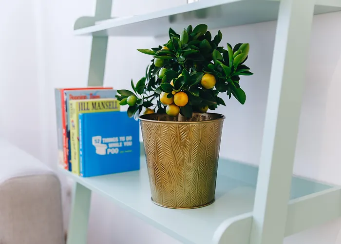 칠리 아파트먼트 프라하